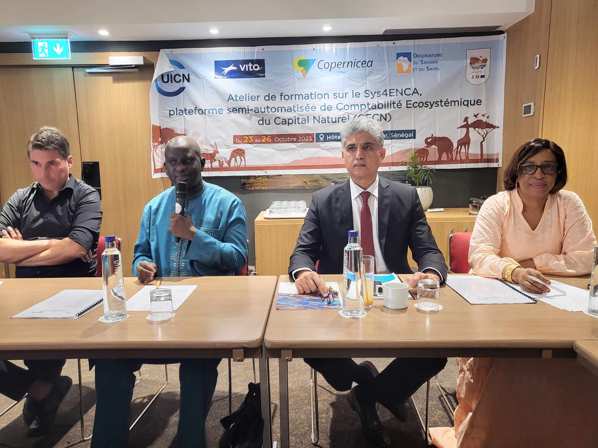 Copernicea Regional Workshop on the Use of the Sys4ENCA Tool