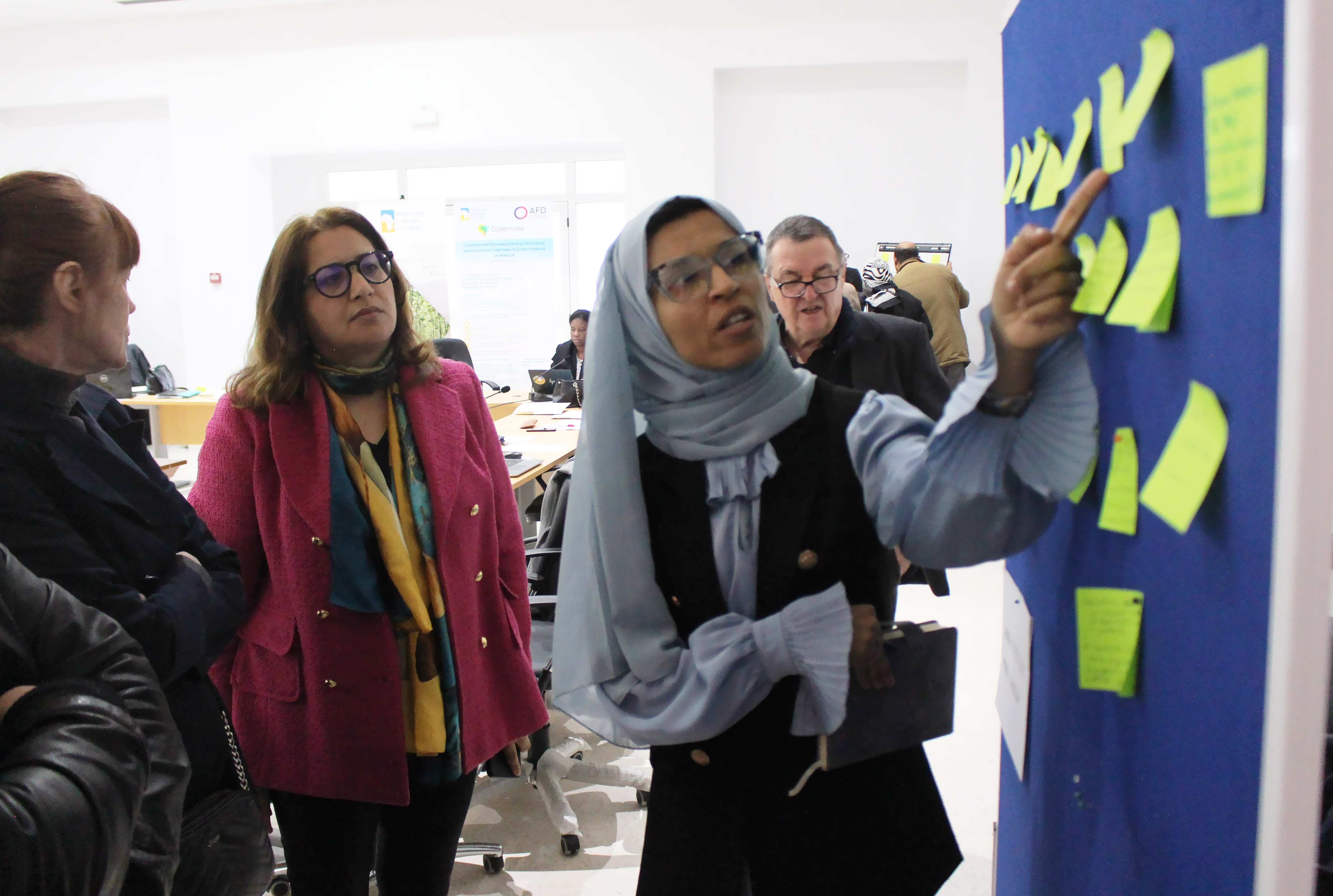 Renforcement institutionnel et mise en place de structures aux niveaux régional et national 