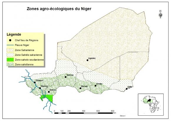 Carbone écosystémique