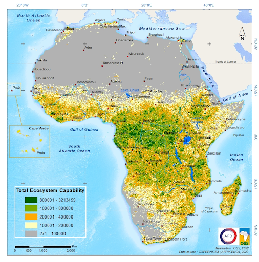 Capabilité écosystémique